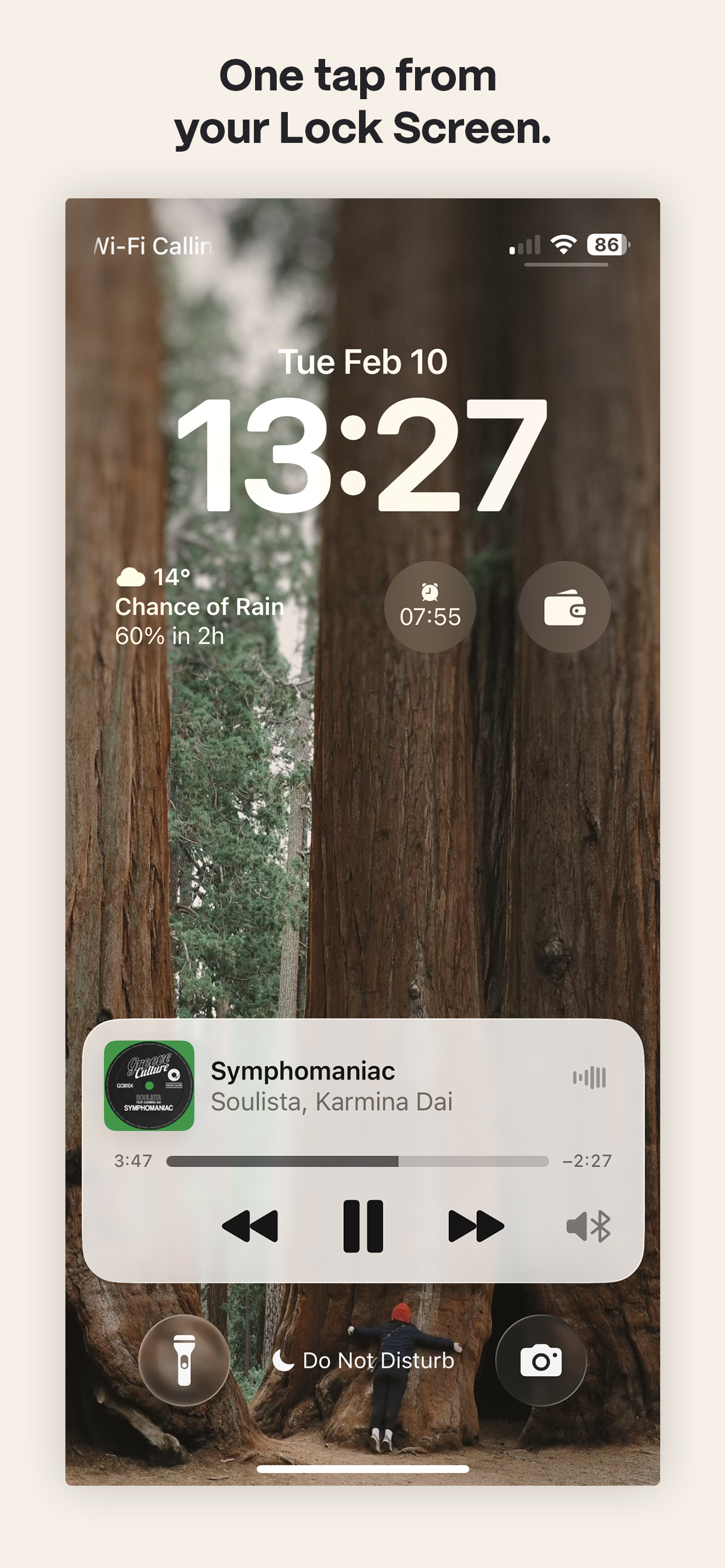 Lock screen widget for quick access